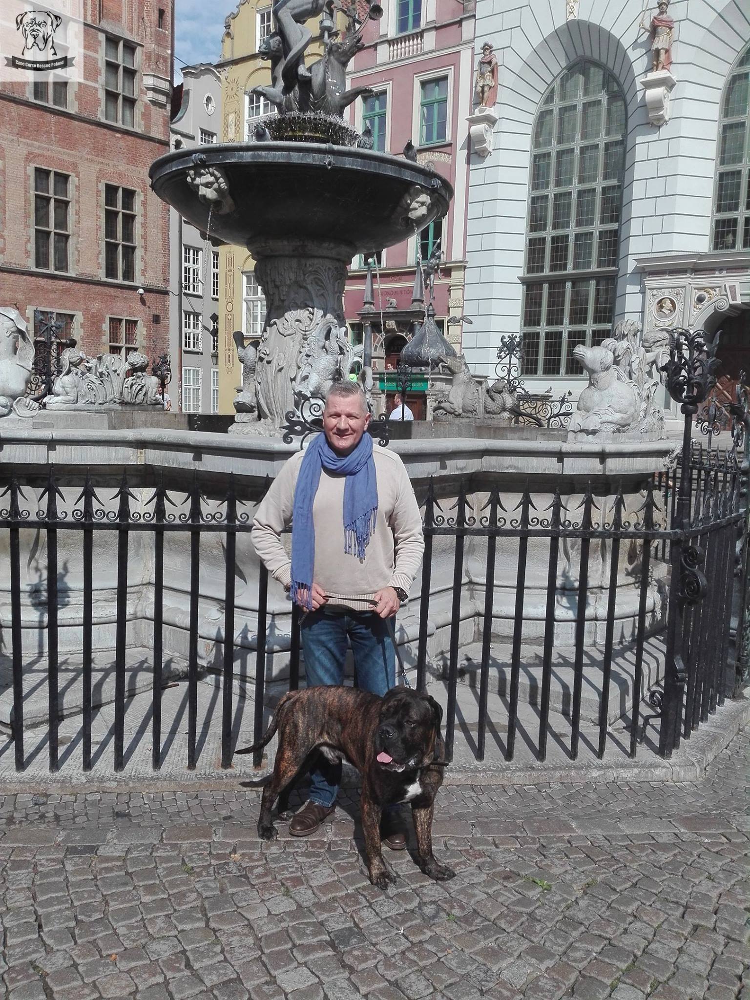 Gobi adoptowany zamieszkał w Słupsku